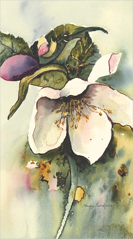 Rose Christmas Card