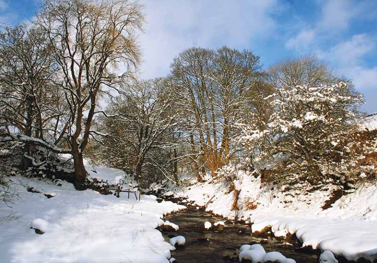 Hebden Christmas Card