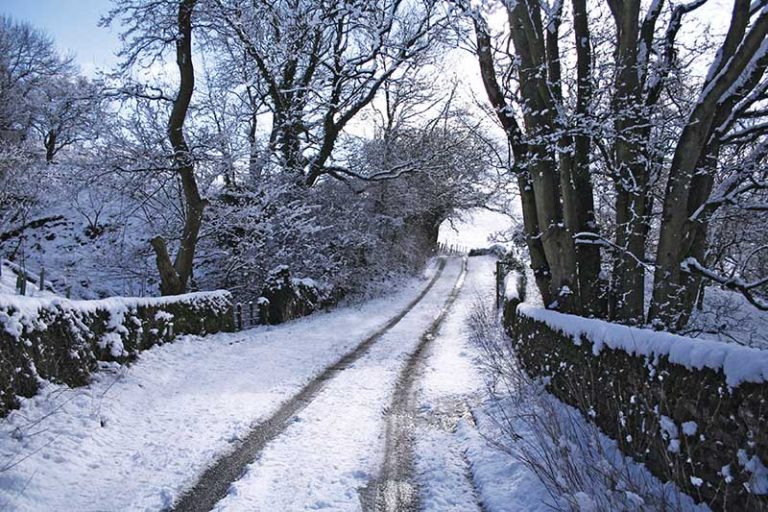 Snow Christmas Card