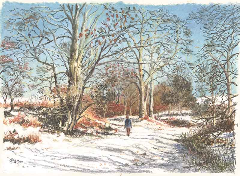 Woodland Christmas Card